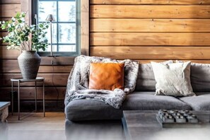 تلفزيون، مدفأة