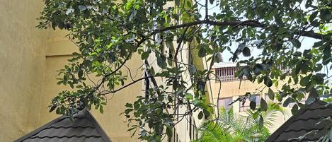 Un edificio con techo de tejas, un patio cubierto y una piscina pequeña.