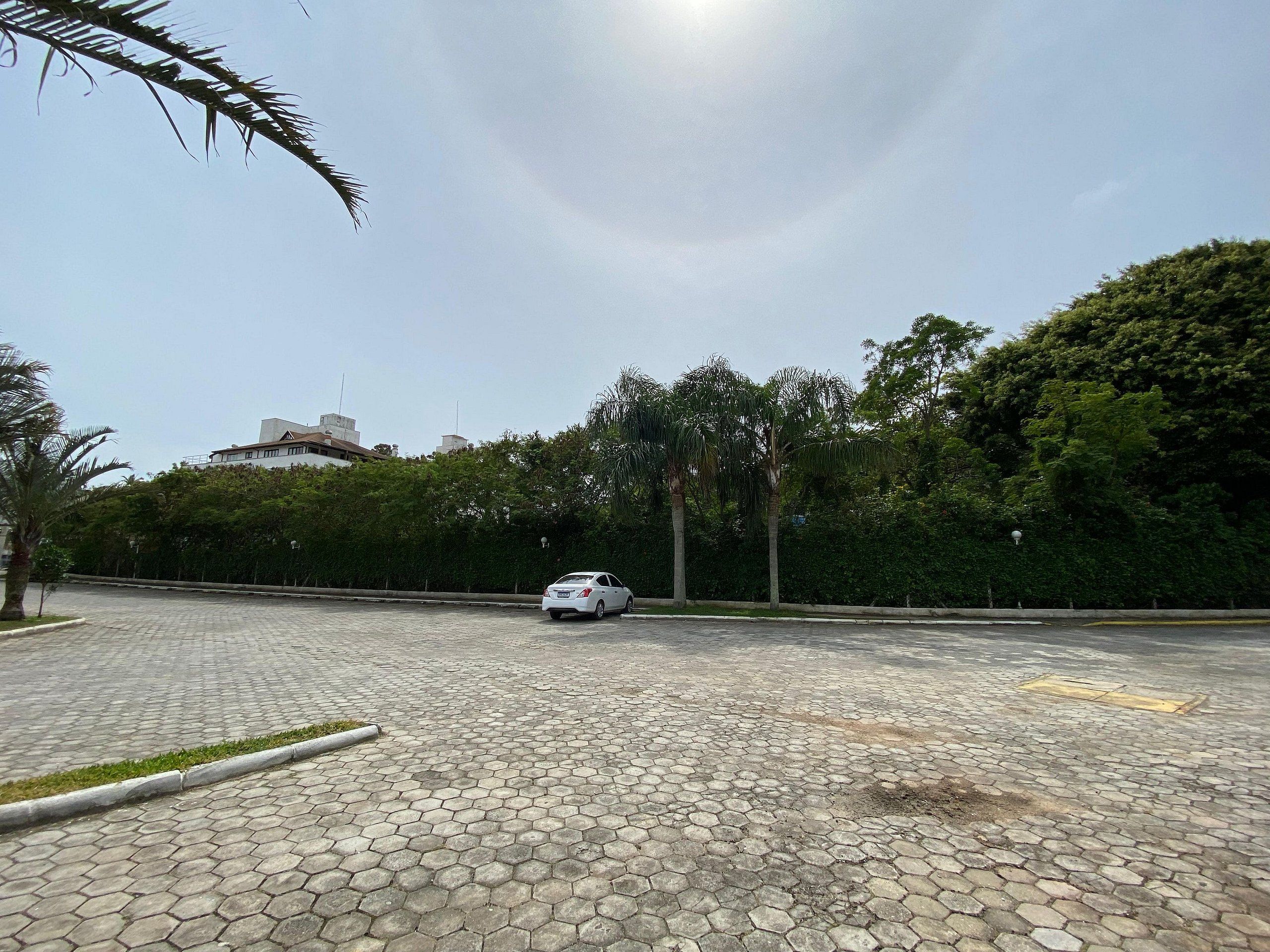 A parking area with a white car, paved with hexagonal tiles, surrounded by greenery and trees.