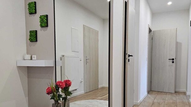 A modern room with a large mirror, a red quilted sofa, a round rug, and a small plant on the wall. - Modern apartment in the heart of Ramstein (Ramstein-Miesenbach)