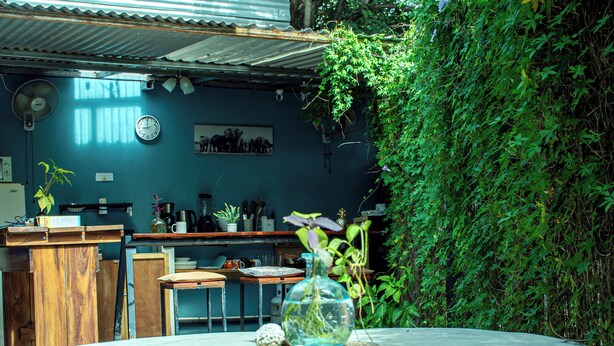 A rustic outdoor dining area with a stone table and bench, surrounded by greenery and a building with a corrugated metal roof. - The Backside House  - Women Only - (Tamarindo)
