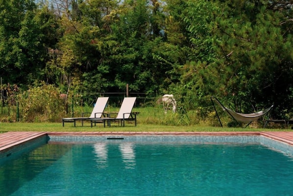 حمّام سباحة خارجي