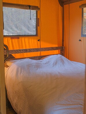 واي فاي مجانًا