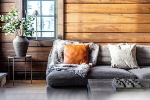 تلفزيون، مدفأة