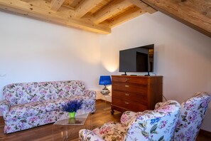 舒適公寓, 2 間臥室 | 電視