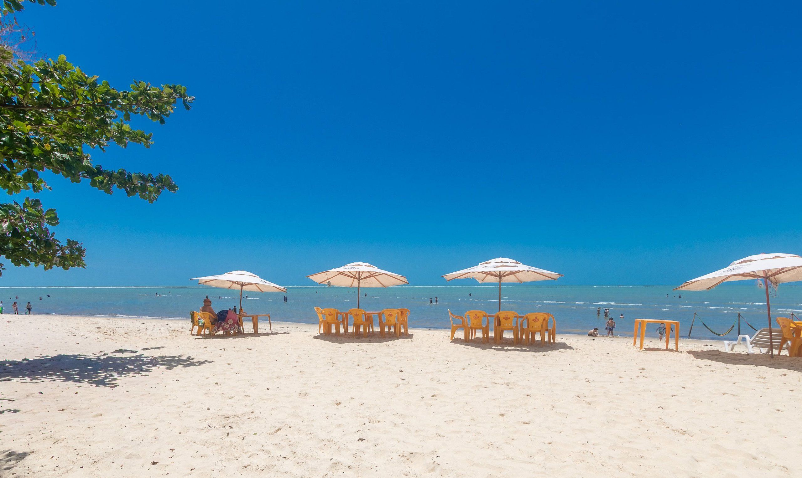 Una spiaggia con file di sedie gialle e ombrelloni bianchi, un cielo azzurro terso e l'oceano sullo sfondo.