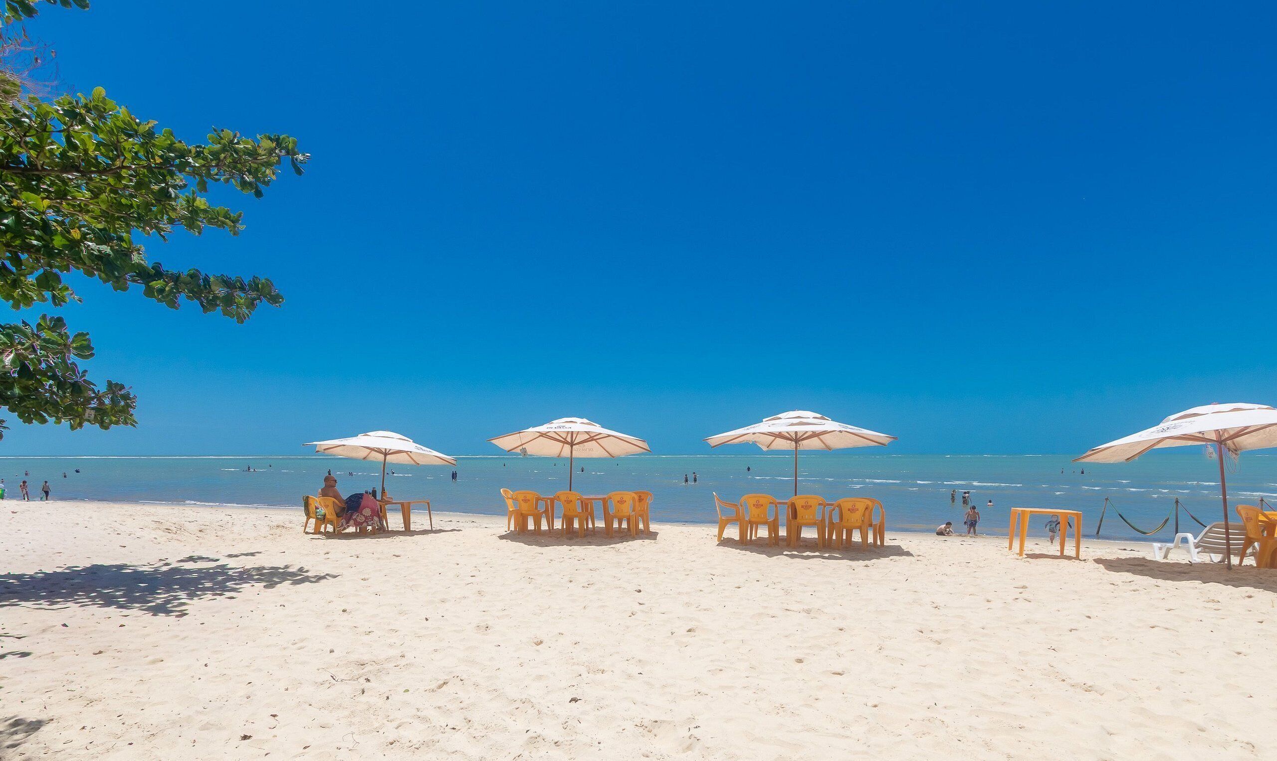 A beach with rows of yellow chairs and white umbrellas, a clear blue sky, and the ocean in the background.