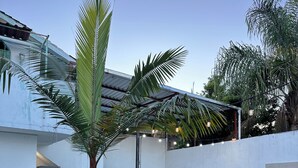 A modern outdoor patio with a pool, seating, and a palm tree.