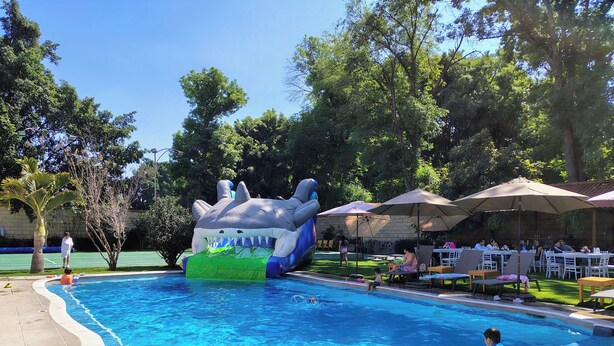 Una piscina con adornos de tiburones inflables, rodeada de árboles y mobiliario de exterior.