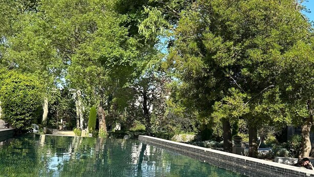 Une piscine aux eaux limpides, entourée d’arbres, avec un bord carrelé et une bordure en pierre.
