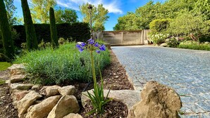 Un chemin de jardin bordé d’une haie, avec un grand arbre et une clôture en bois en arrière-plan.