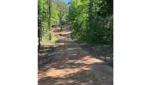 A dirt path in a forested area.
