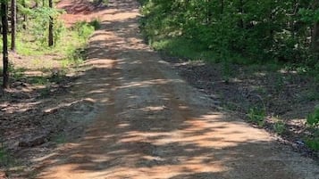 Un sentier de terre au cœur d’une zone boisée.