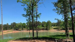 A natural landscape with a lake, trees, and a dirt path. - Barnwell Mountain Cabins #8 (Gilmer)