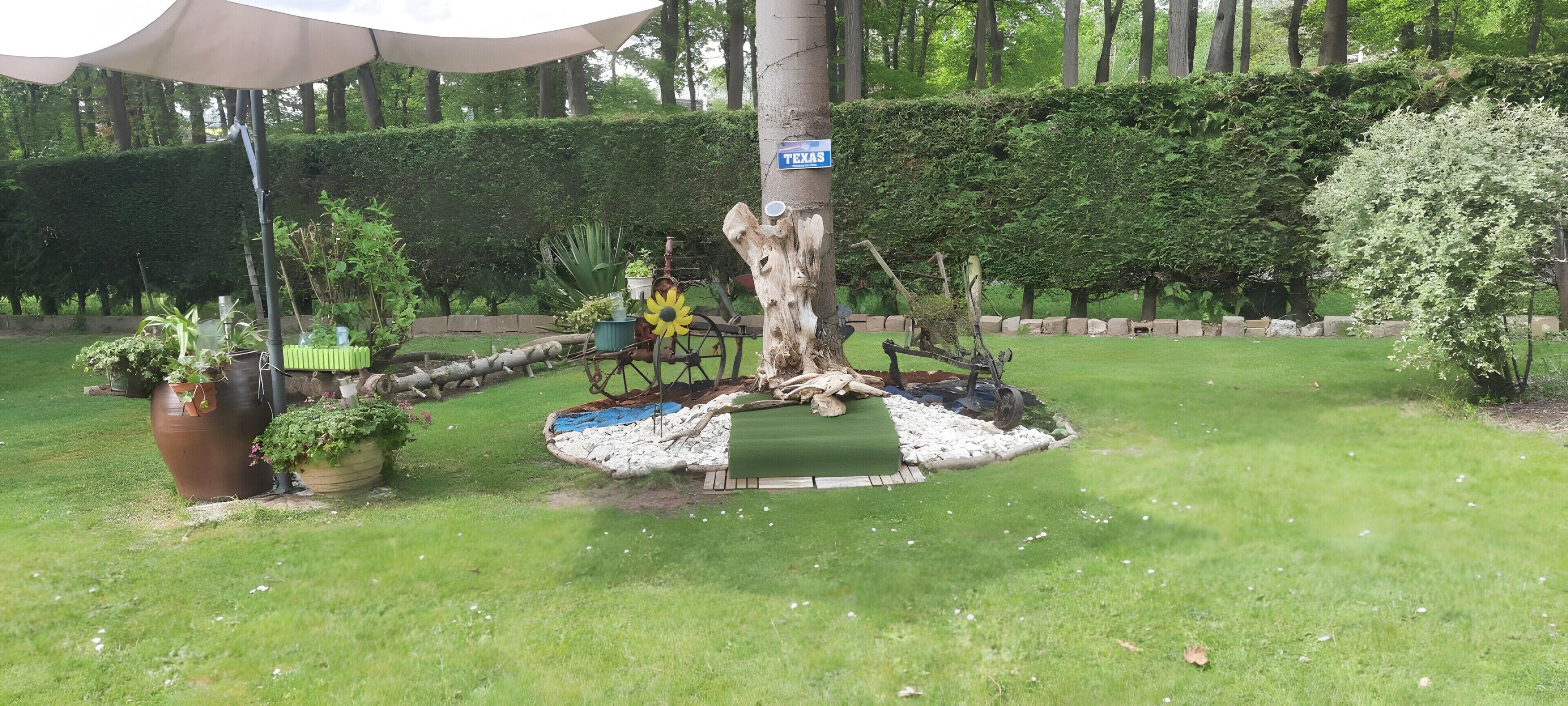 A tree with a Texas sign, a large planter with plants, and a small pond with a wooden bridge.