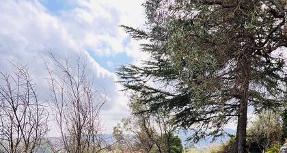 Camera Sirene - Villa Flores