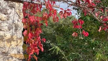 Bain à remous privé