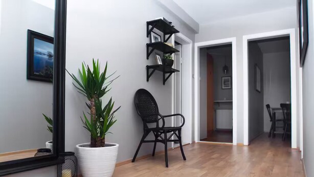 A modern interior with a potted plant, a black chair, and a black shelf unit. - Briet Apartments Akureyri, 2 bedroom (Akureyri)
