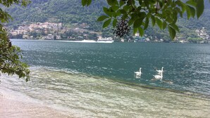 Ein See mit klarem Wasser, Schwänen und einem Boot.