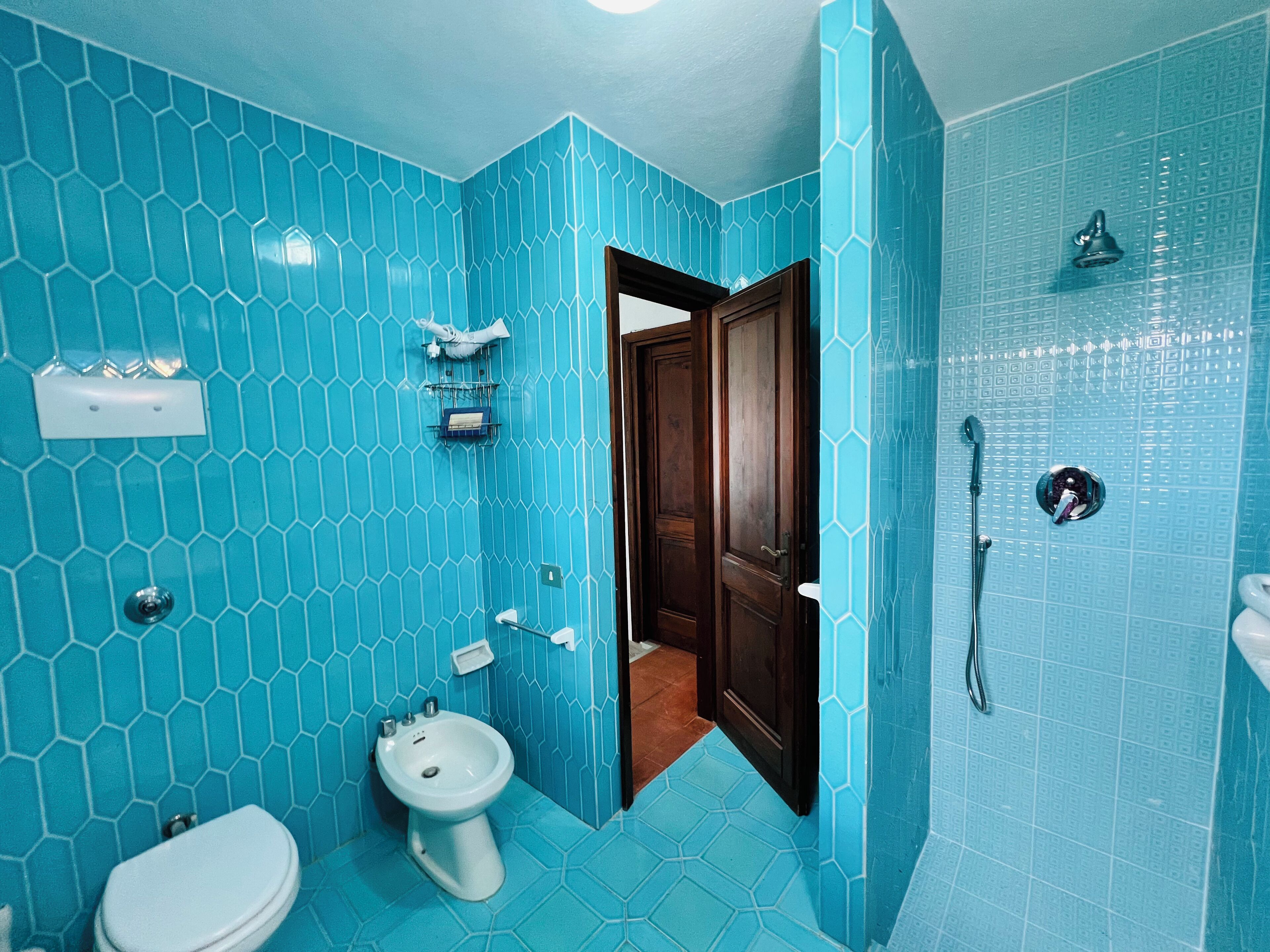 A bathroom with blue hexagonal tiles, a white toilet, a bidet, and a shower area.