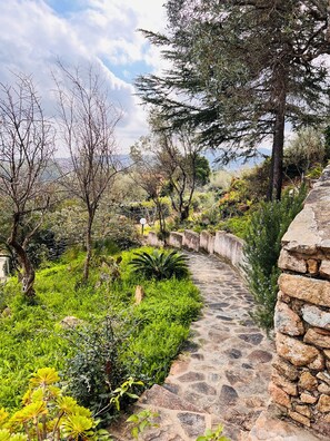 Exterior - Camera Acquario - Villa Flores (San Teodoro)