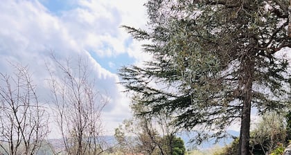 Camera Acquario - Villa Flores