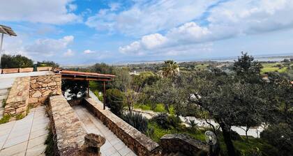 Camera Acquario - Villa Flores