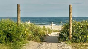 บนชายหาด, ร่มชายหาด, ผ้าเช็ดตัวชายหาด, วอลเลย์บอล