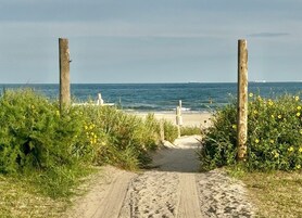 在海滩、海滩遮阳伞、沙滩毛巾、排球