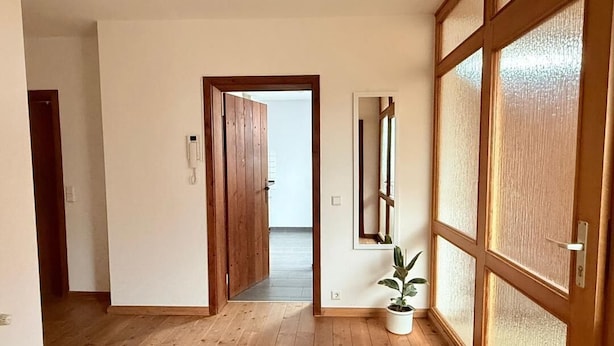 A hallway with wooden flooring, a potted plant, and a sliding door with frosted glass panels. - NEW! Time out at the Hirzenkopf (Steinberg-Deckenhardt)