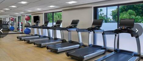 A gym with multiple treadmills aligned in rows, exercise balls, and a view of greenery outside.