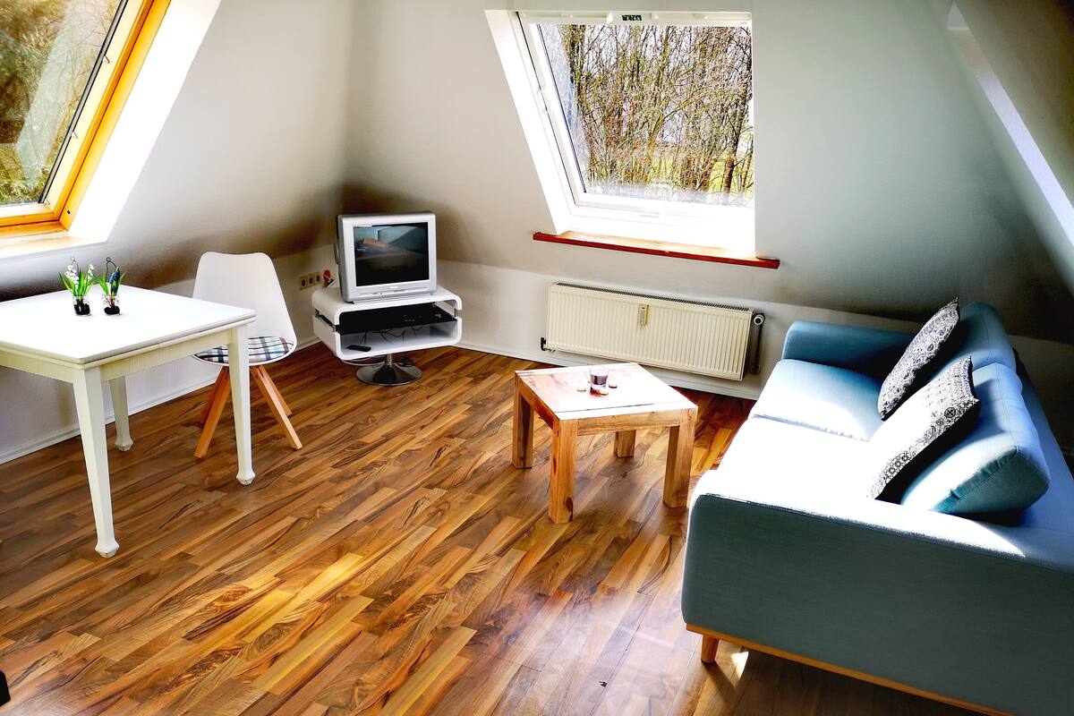 Ein Zimmer mit Holzboden, einem weißen Tisch, einem blauen Sofa, einem Fernseher auf einem Standfuß und einem Fenster mit Blick auf Bäume.
