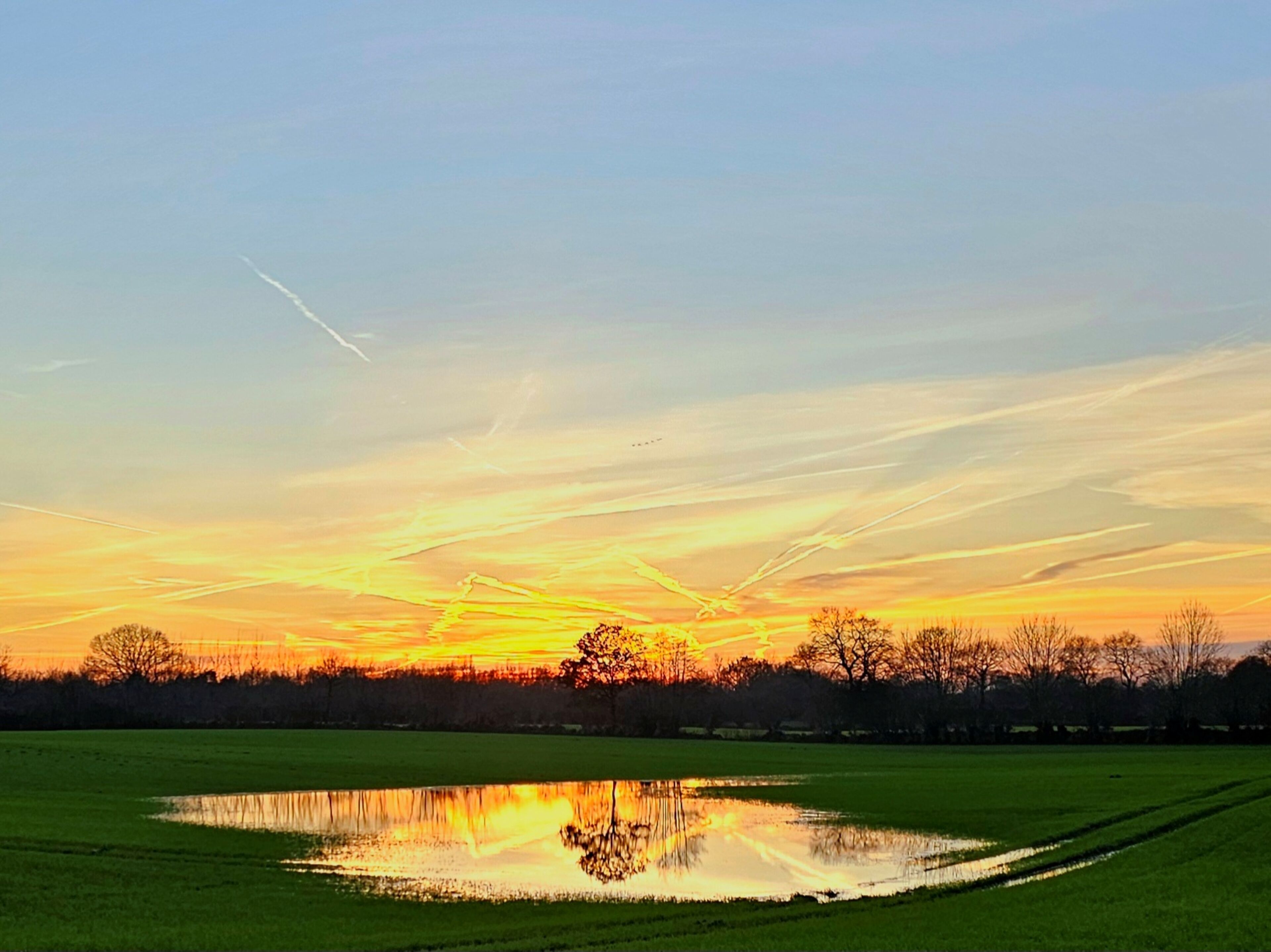 A sunset over a field with a pond reflecting the sky.