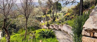 Camera Conchiglie - Villa Flores