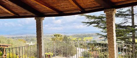 Room | Terrace/patio