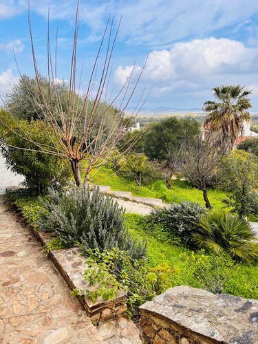 Camera Conchiglie - Villa Flores