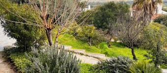 Camera Conchiglie - Villa Flores