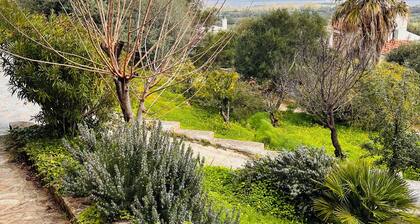 Camera Conchiglie - Villa Flores