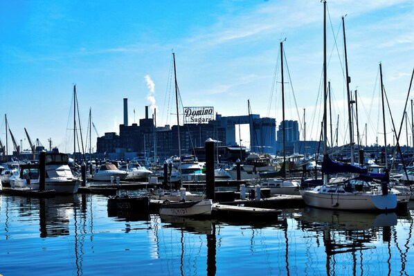 A marina with multiple boats docked, a city skyline in the background, and a prominent Domino Sugar sign.