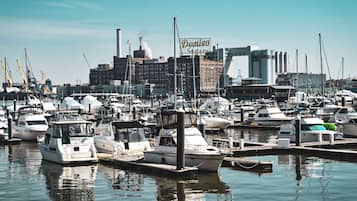 Marina