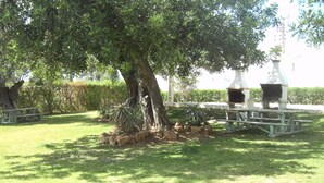 Un espace extérieur verdoyant avec un grand arbre, des tables de pique-nique et un barbecue.