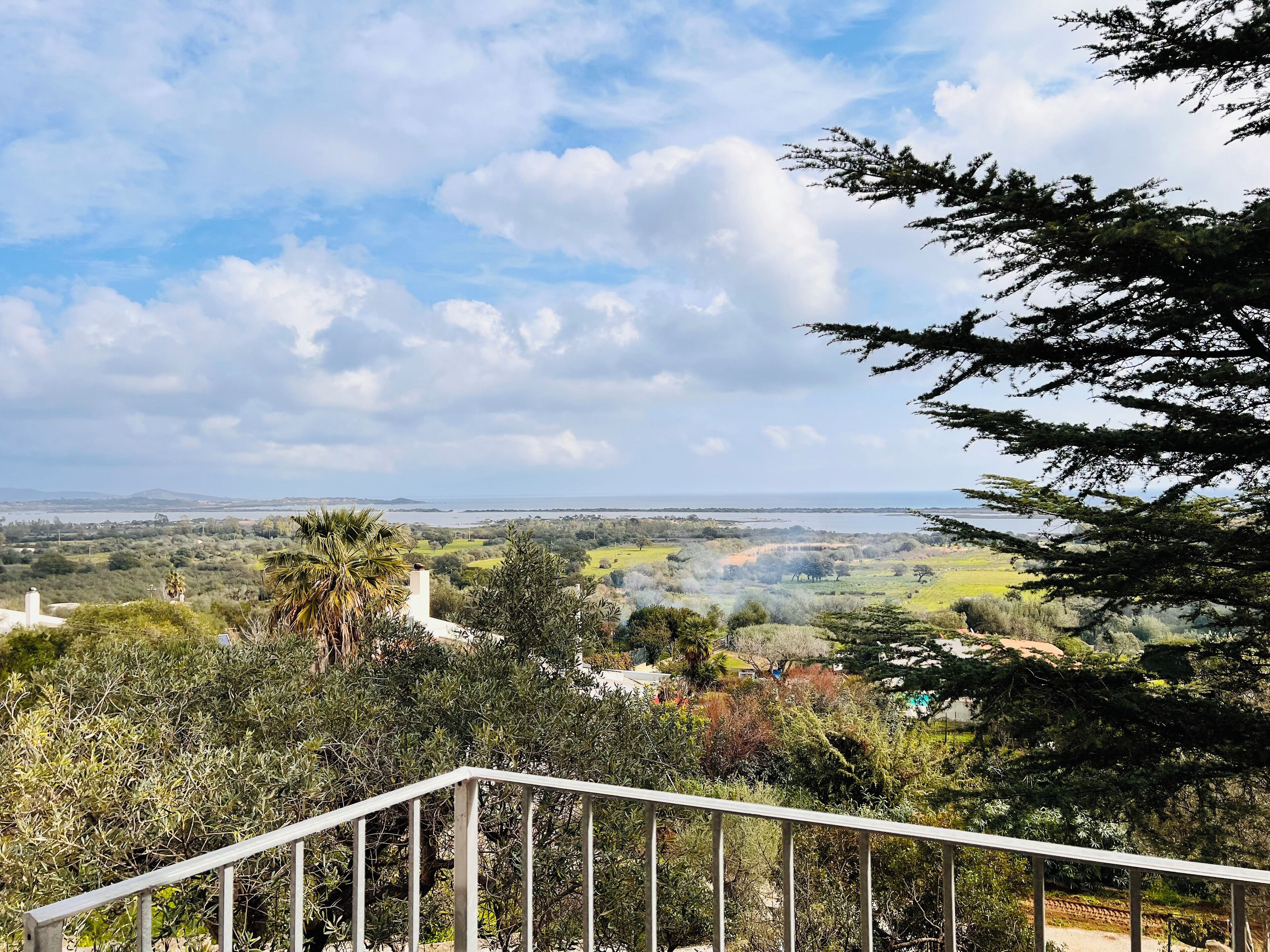 A scenic view from a balcony with a railing, overlooking a landscape with trees and a distant body of water.