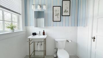 A bathroom with a white sink, a toilet, a window with blinds, and a potted plant.