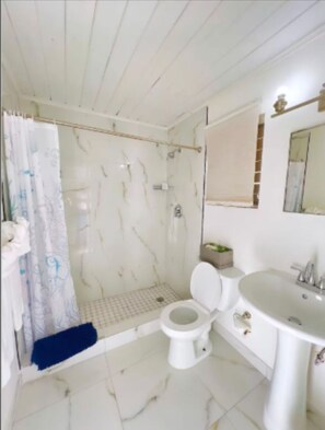 Hair dryer, towels, soap, toilet paper