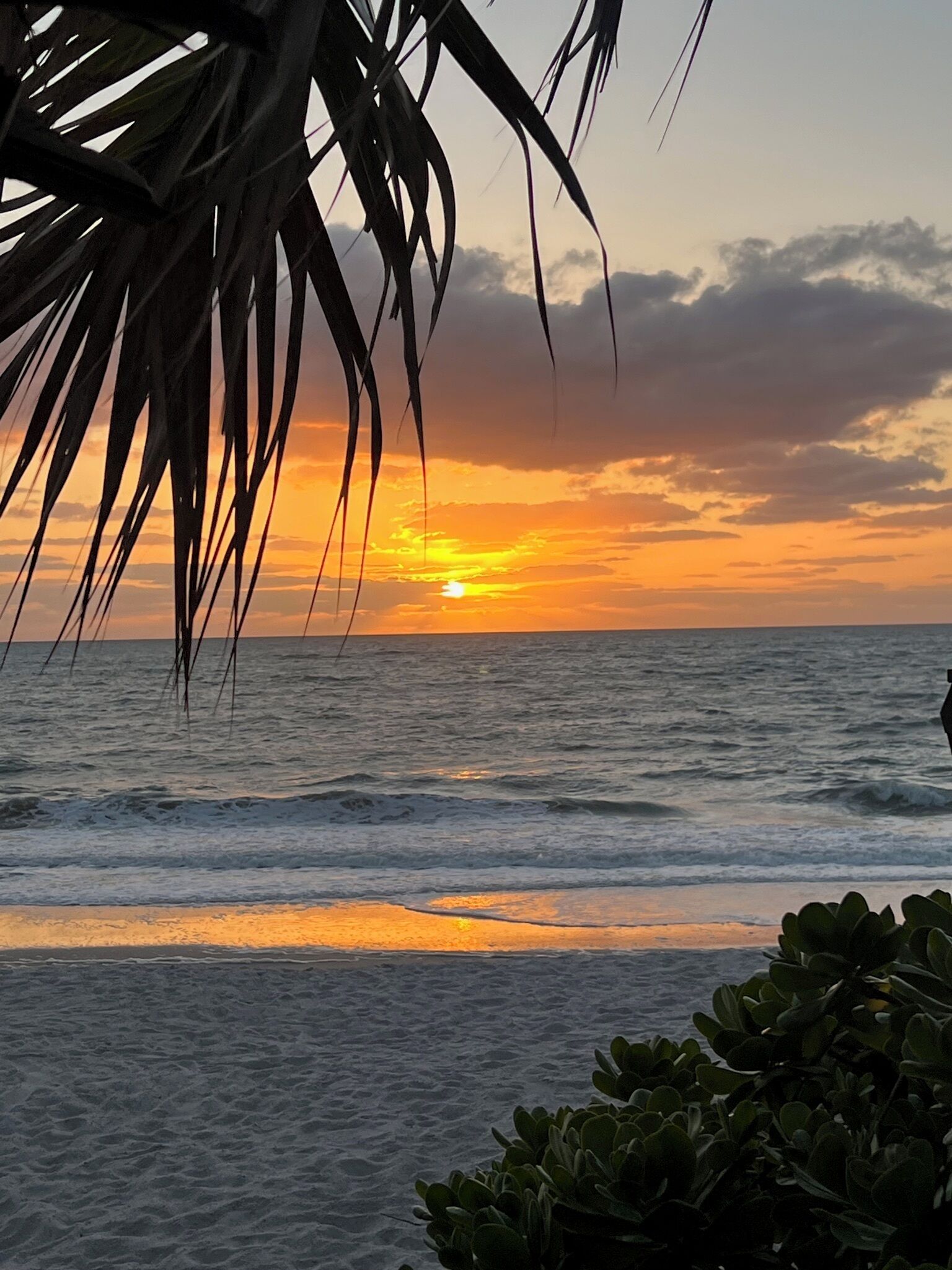 Chaises longues, serviettes de plage