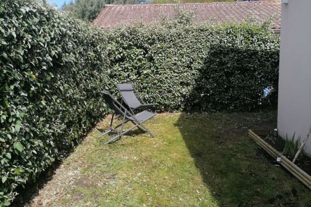 A garden with a lawn, a metal chair, and a hedge.