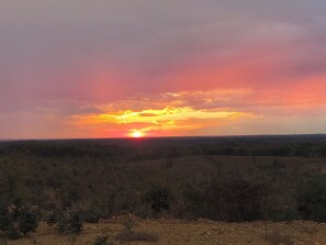 Miscellaneous - 330 Acres  Amazing Views, Trails, Camping, Hunting, ATV Family Friends Memories (Lexington)