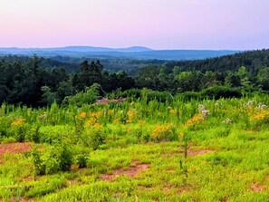 Miscellaneous - 330 Acres  Amazing Views, Trails, Camping, Hunting, ATV Family Friends Memories (Lexington)