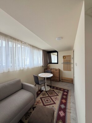 Living area - Cozy apartment in Vake (T'bilisi)