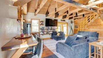 TV, fireplace, books